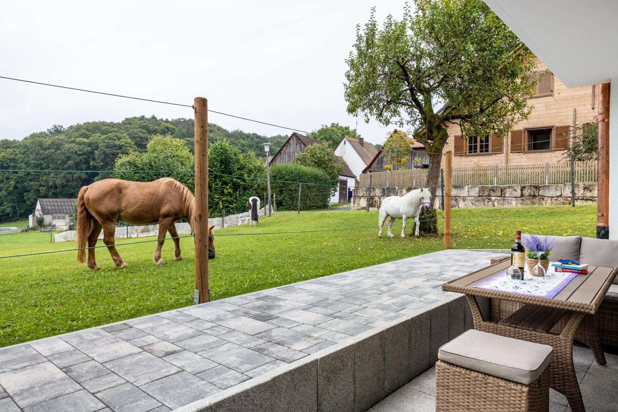 דירות Hartenstein  Brunnerhof Urlaub Auf Dem Land מראה חיצוני תמונה